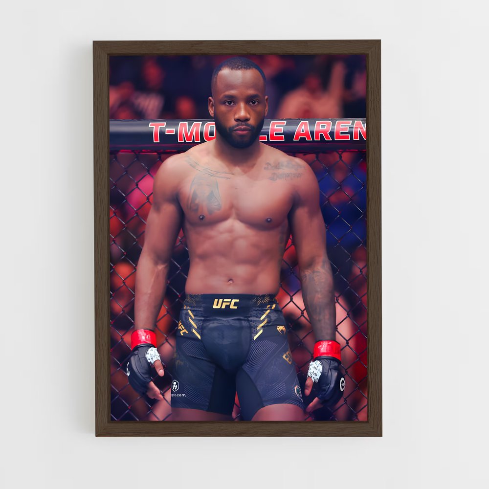 Poster The Lionheart – affiche MMA (vue 5)